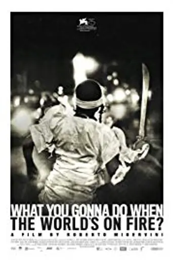 What You Gonna Do When the World's on Fire? (2018)