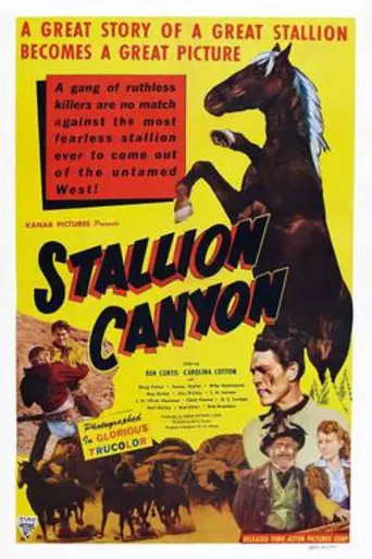 Stallion Canyon (1950)