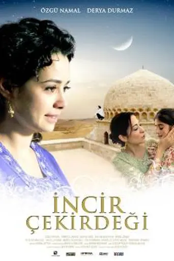 Not Worth a Fig (2009)