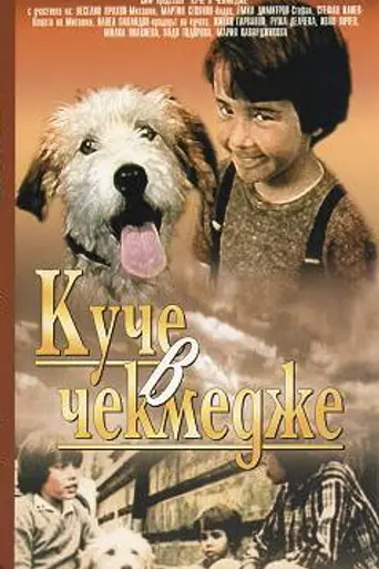 A Dog in a Drawer (1982)