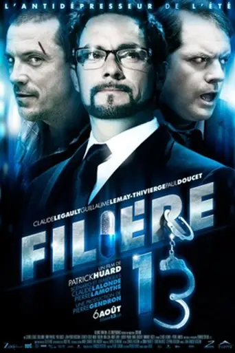 File 13 (2010)