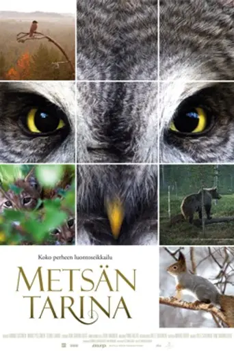 Tale of a Forest (2012)