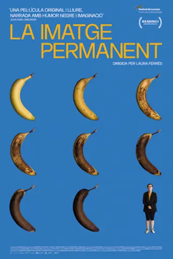 The Permanent Picture (2023)