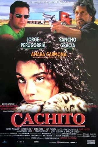 Cachito