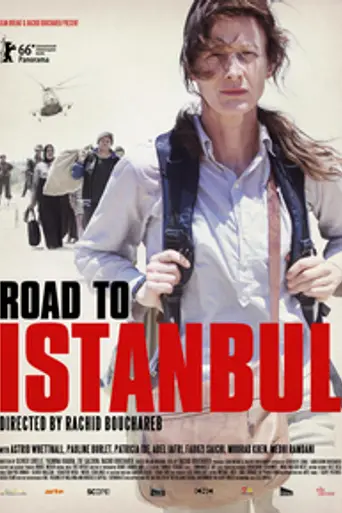 Camino a Estambul (2016)