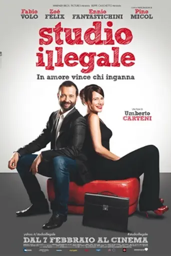 Studio illegale (2013)
