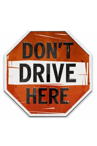 Don't Drive Here (2013)