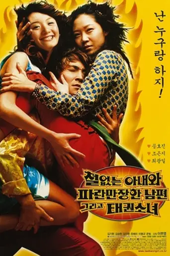 An Indiscreet Wife, A Checkered Husband And A Taekwondo Girl (2002)