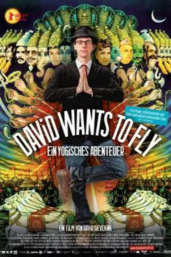 David quiere volar (2010)