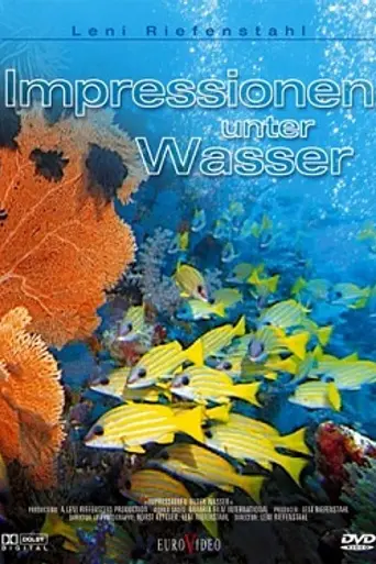 Underwater Impressions (2002)