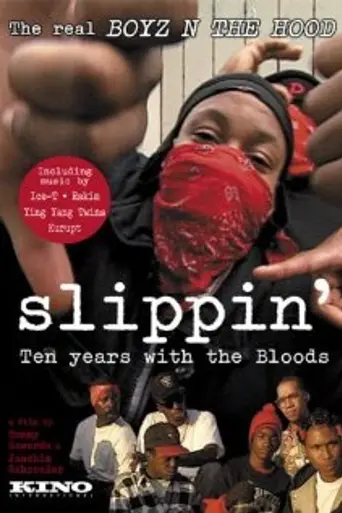 Slippin': Ten Years with the Bloods (2005)
