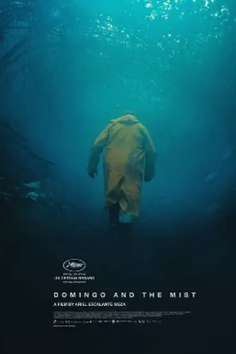 Domingo y la niebla (2022)