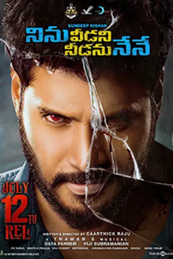 Ninu Veedani Needanu Nene (2019)