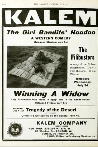 Winning a Widow (1912)