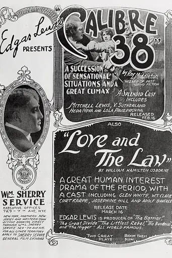 Calibre 38 (1919)