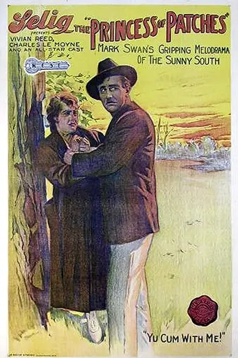 The Princess of Patches (1917)