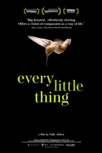 Every Little Thing (2024)
