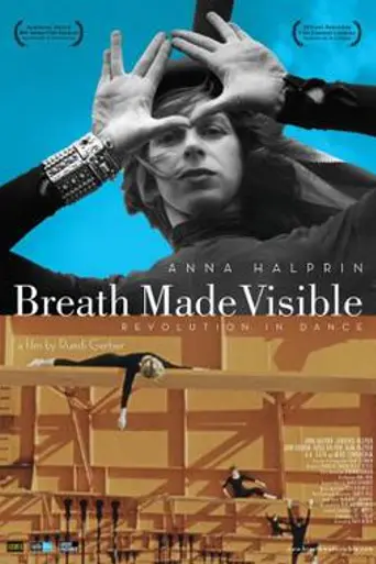 Breath Made Visible (2009)