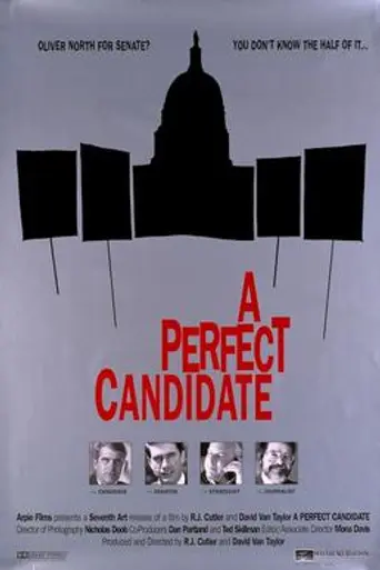 A Perfect Candidate (1996)
