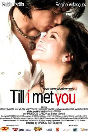 Till I Met You (2006)