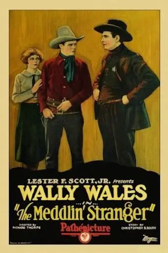 The Meddlin' Stranger (1927)