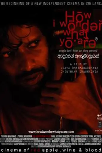How I Wonder What You Are (2010)