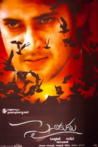 Sainikudu (2006)