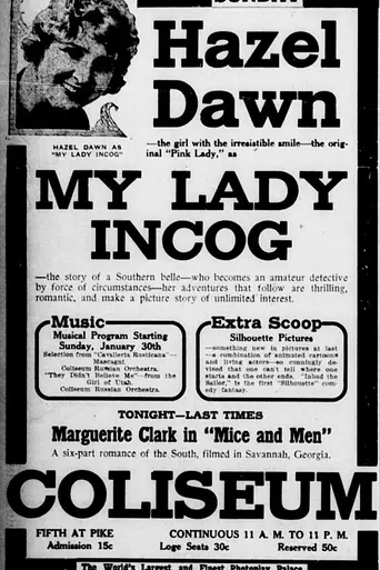 My Lady Incog (1916)