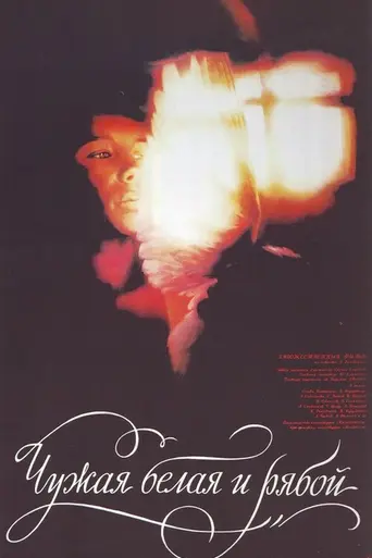 Wild Pigeon (1986)