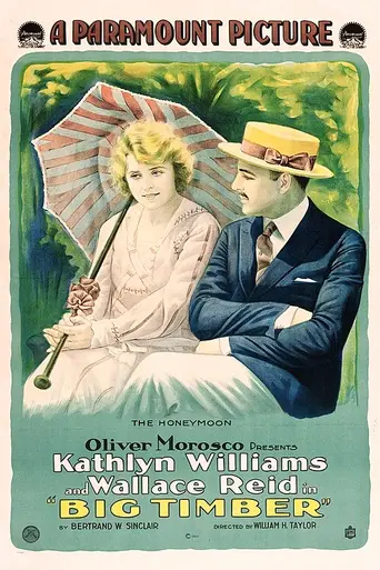 Big Timber (1917)
