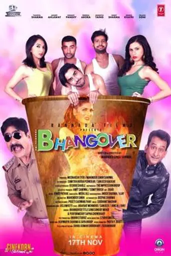 Journey of Bhangover (2017)