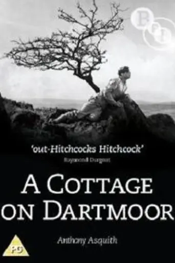 A Cottage on Dartmoor (1929)