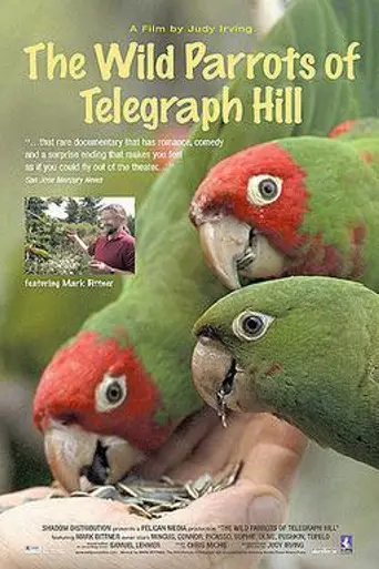 The Wild Parrots of Telegraph Hill (2003)