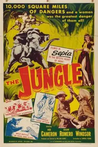 Kaadu (1952)