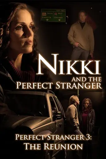 Nikki and the Perfect Stranger (2013)
