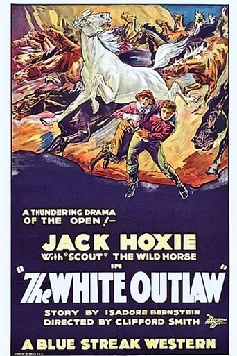 The White Outlaw (1925)
