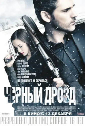 Чёрный дрозд (2012)