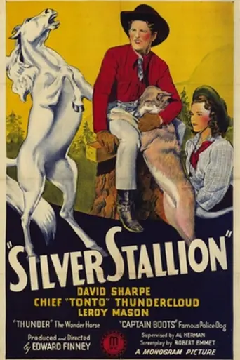 Silver Stallion