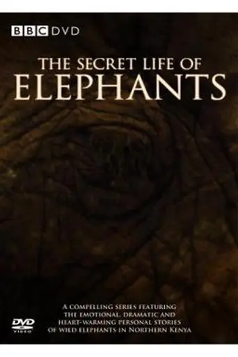 The Secret Life of Elephants (2009)