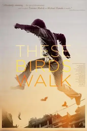 These Birds Walk (2013)