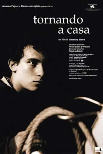 Возвращаясь домой (2001)