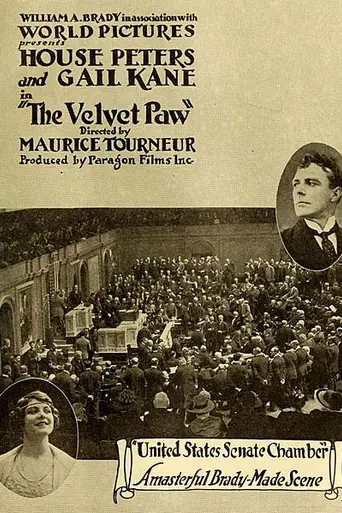 The Velvet Paw (1916)