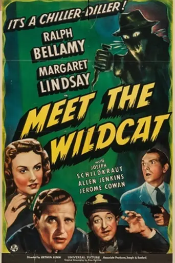 Meet the Wildcat (1940)