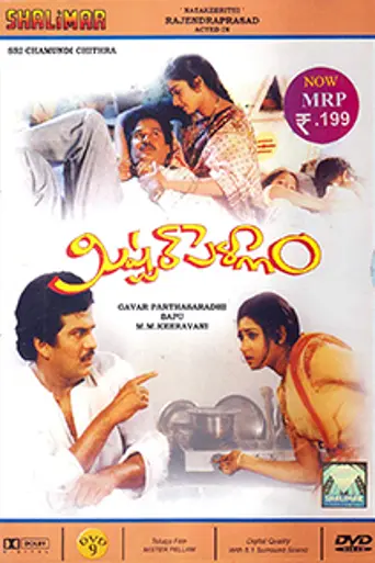Mister Pellam (1993)
