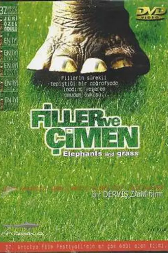 Elephants and Grass (2001)