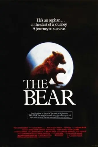 El oso (1988)