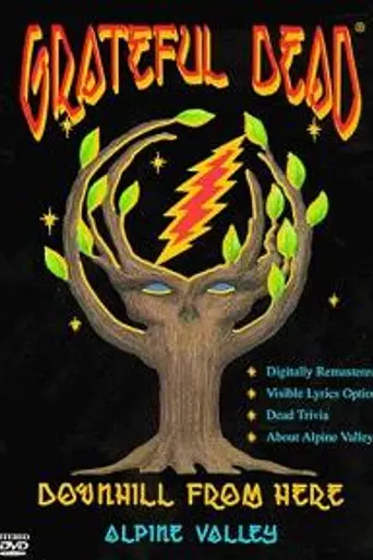 Grateful Dead: Downhill from Here (1997)