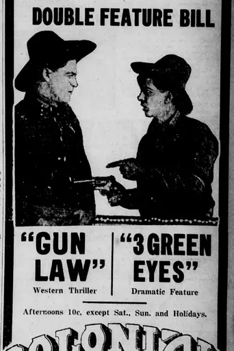 Gun Law (1919)