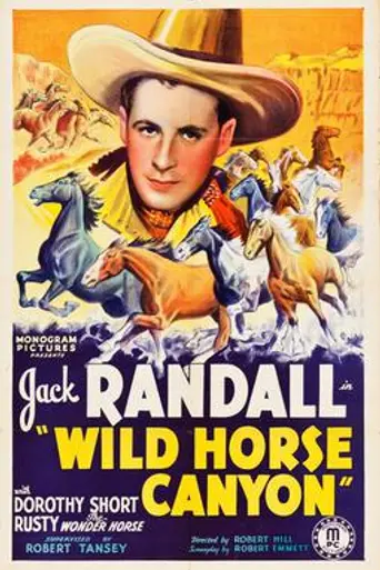 Wild Horse Canyon (1938)
