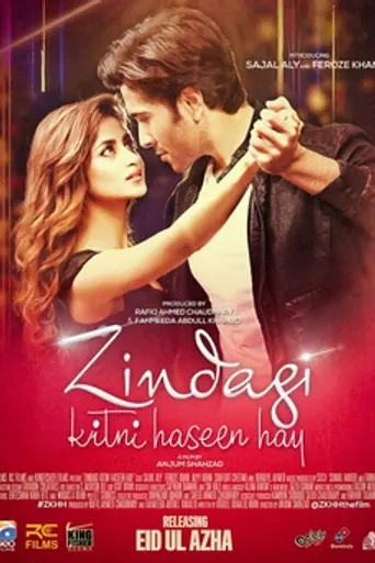 Zindagi Kitni Haseen Hai (2016)